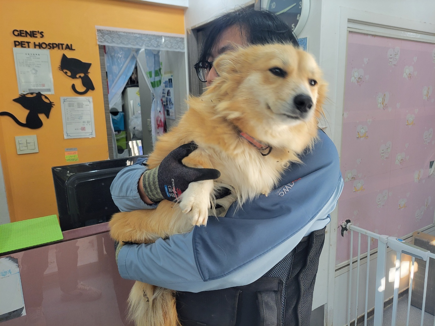 웰시코기믹스 이미지 파일 입니다.